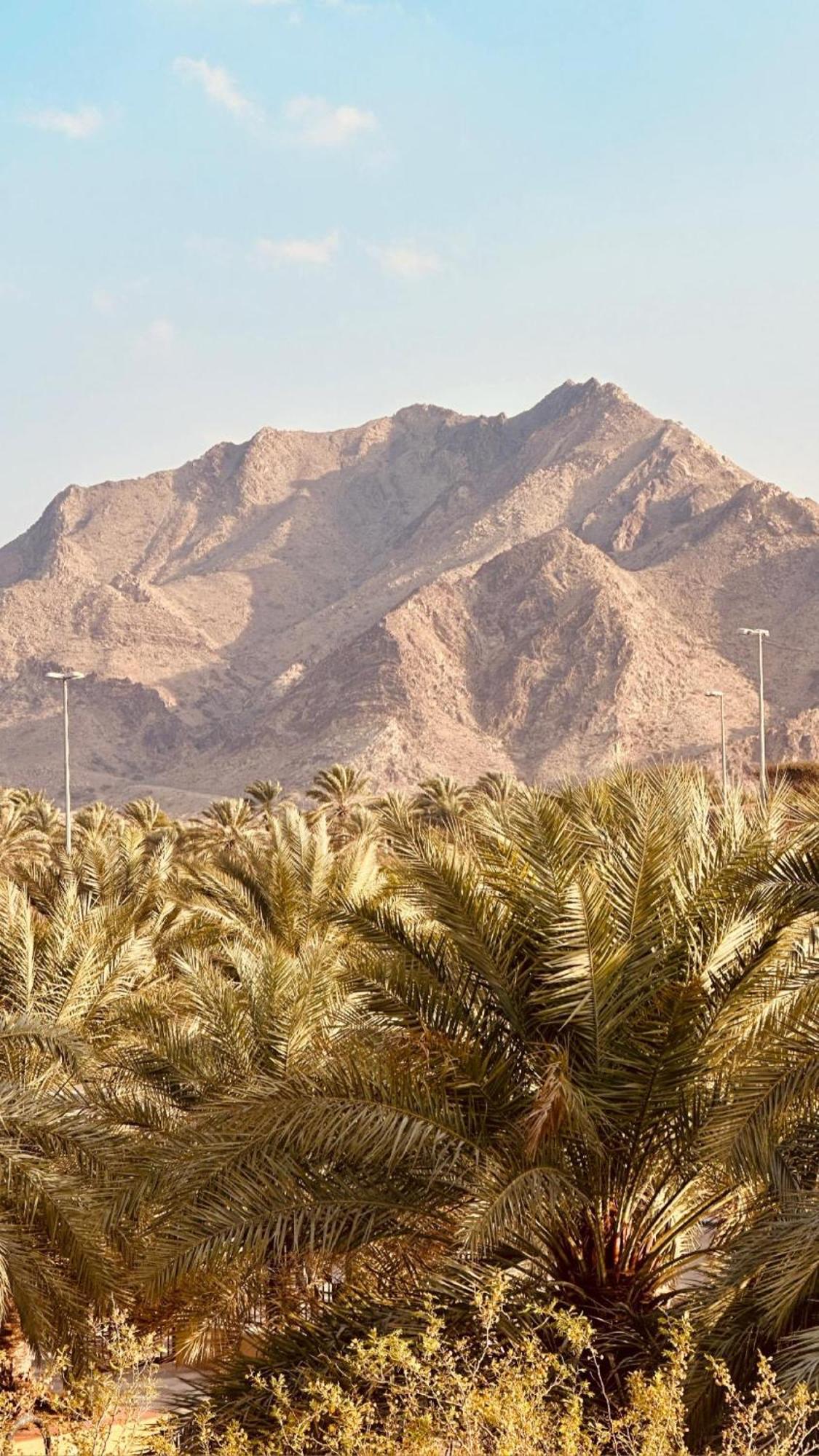 Hatta Retreat Private Pool Wadi Hub For Activities Luaran gambar